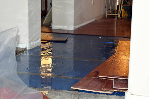 Professional Sewage Cleanup technician working in Akron, MI